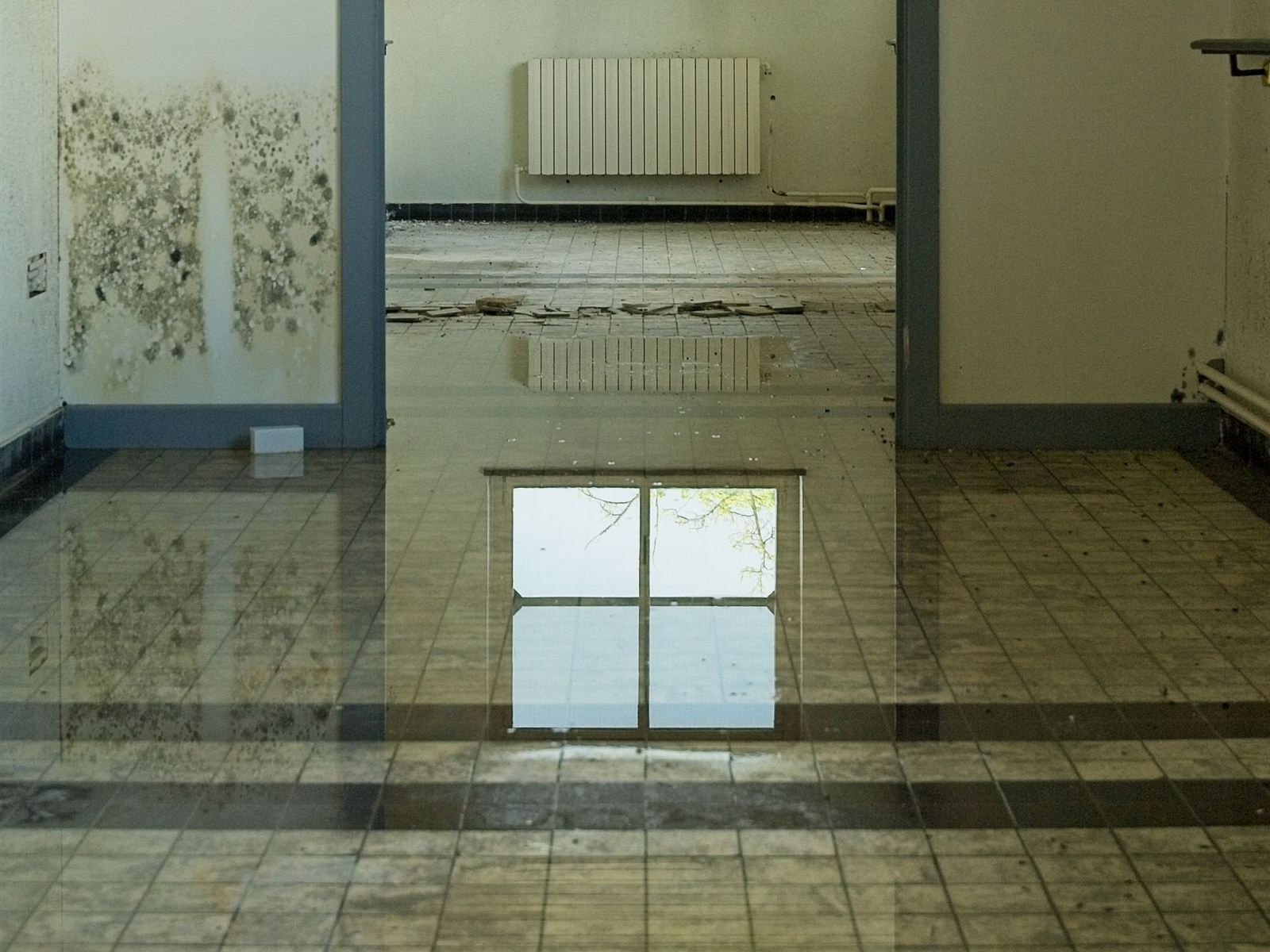 Flooded room with standing water across the floor and mold spreading up the wall